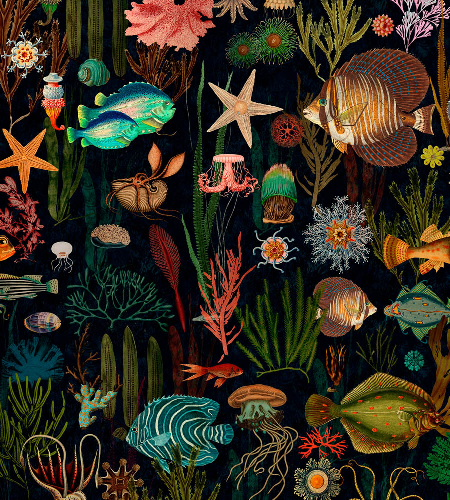 Mind The Gap Oceania - HD Wallpaper 