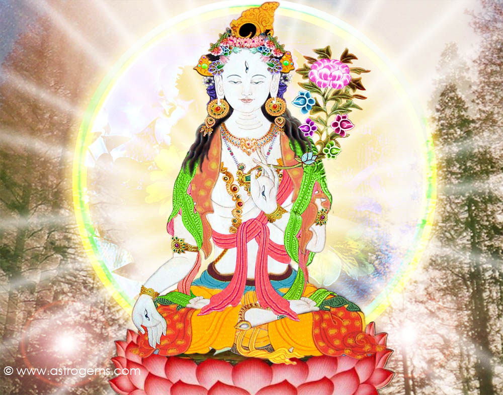 Free White Tara - HD Wallpaper 