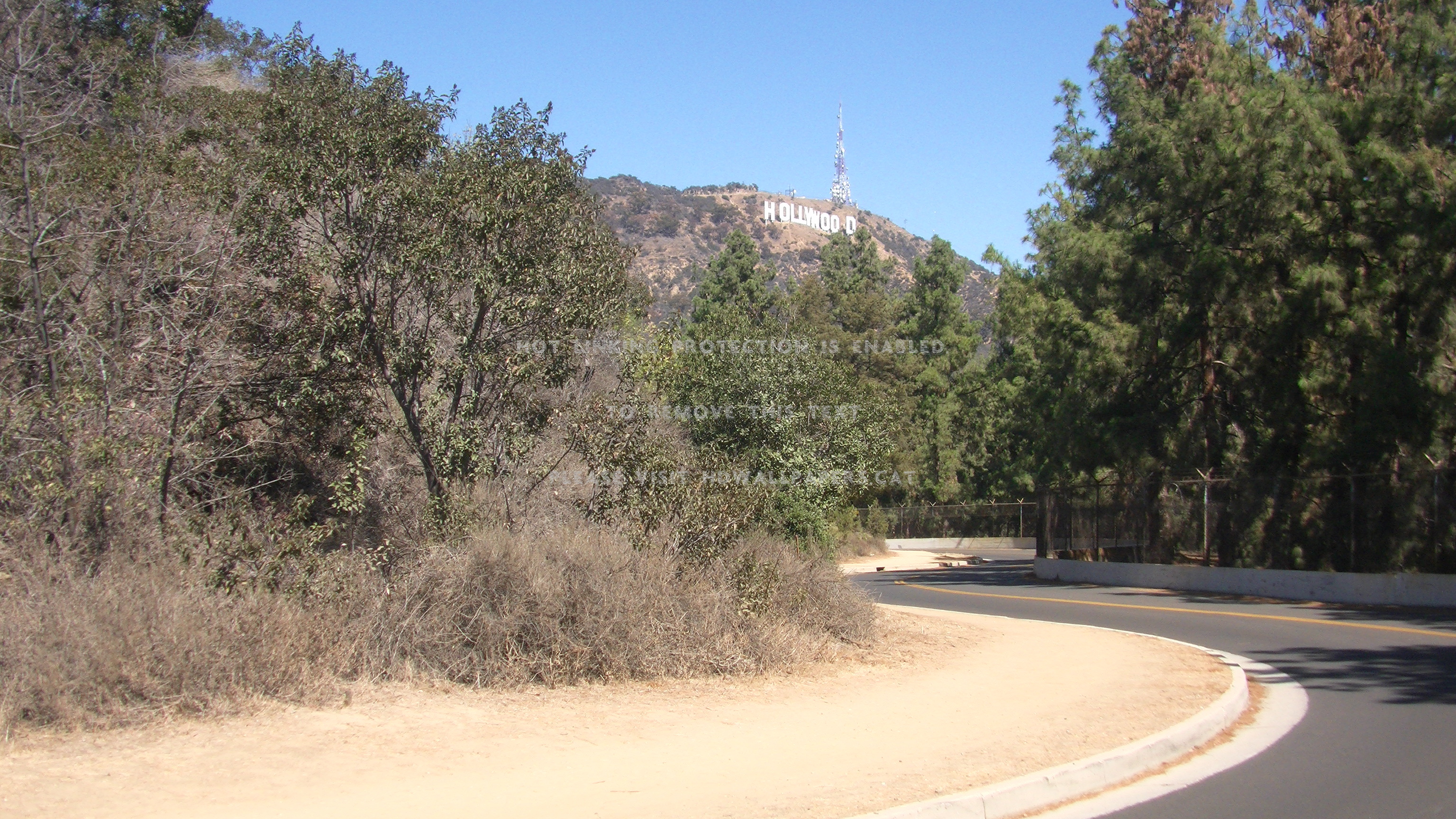 Hollywood Sign Mountain California Natue - Larch - HD Wallpaper 