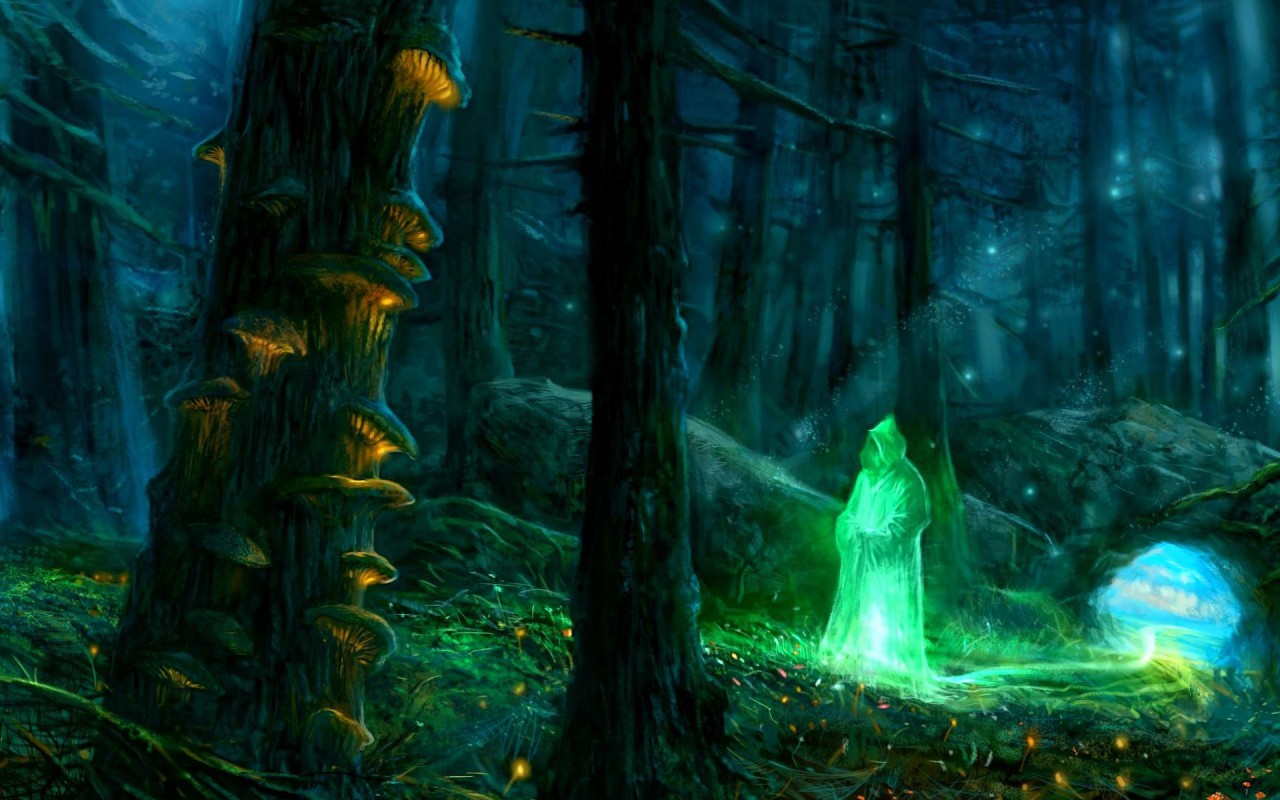 Sorcerer In The Woods, Forest, Tree, Fantasy Wallpapers - Forest Photos Fantasy - HD Wallpaper 