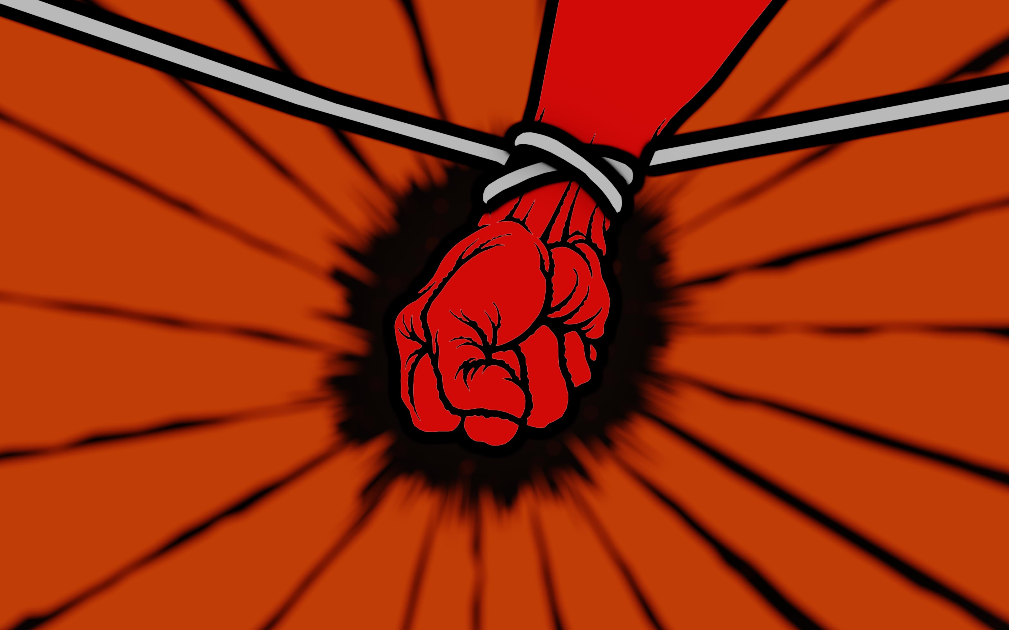 Metallica Wallpaper St Anger - HD Wallpaper 