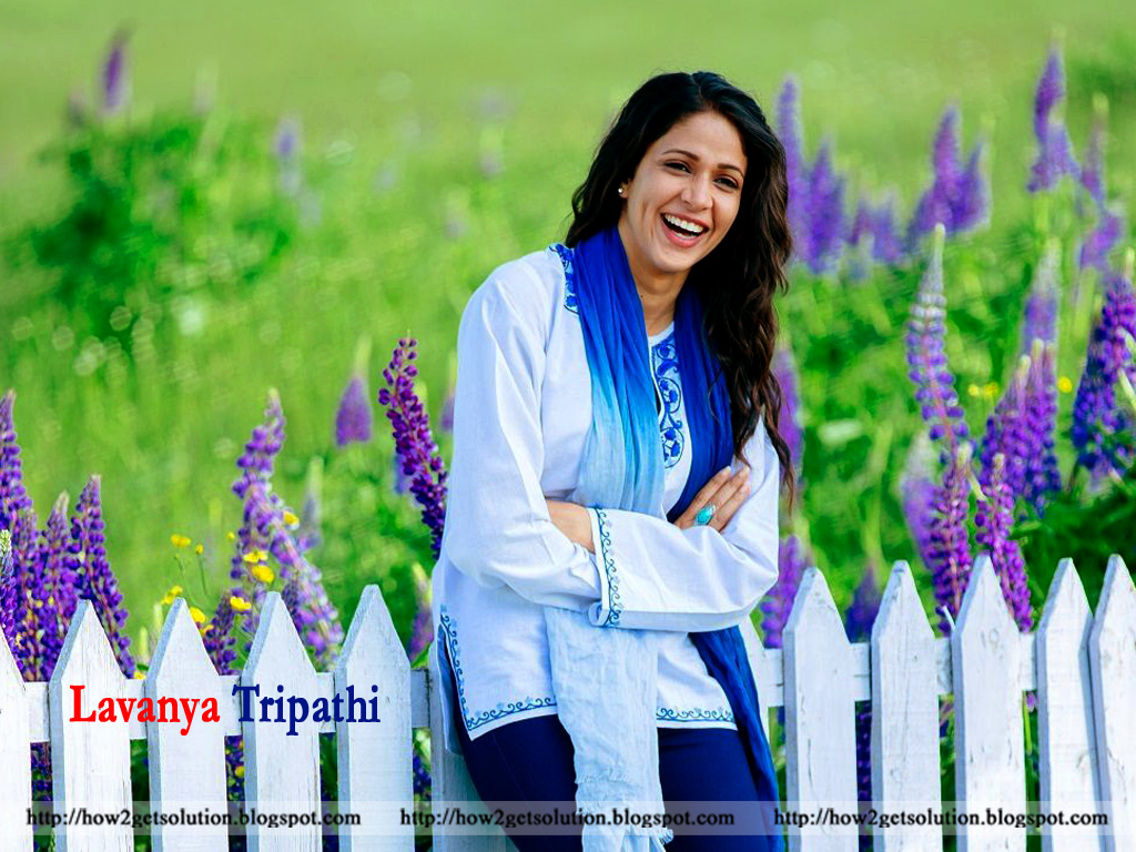 Lavanya Tripathi Photo, Lavanya, No - Lavanya Tripathi Photos Hd - 1024x768 Wallpaper Lavanya Tripathi Photo, Lavanya, No - Lavanya Tripathi Photos Hd - 1024x768 Wallpaper