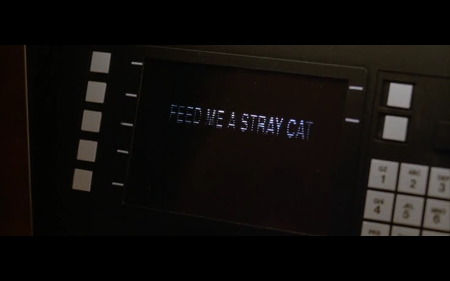 Feed Me A Cat Gif - HD Wallpaper 