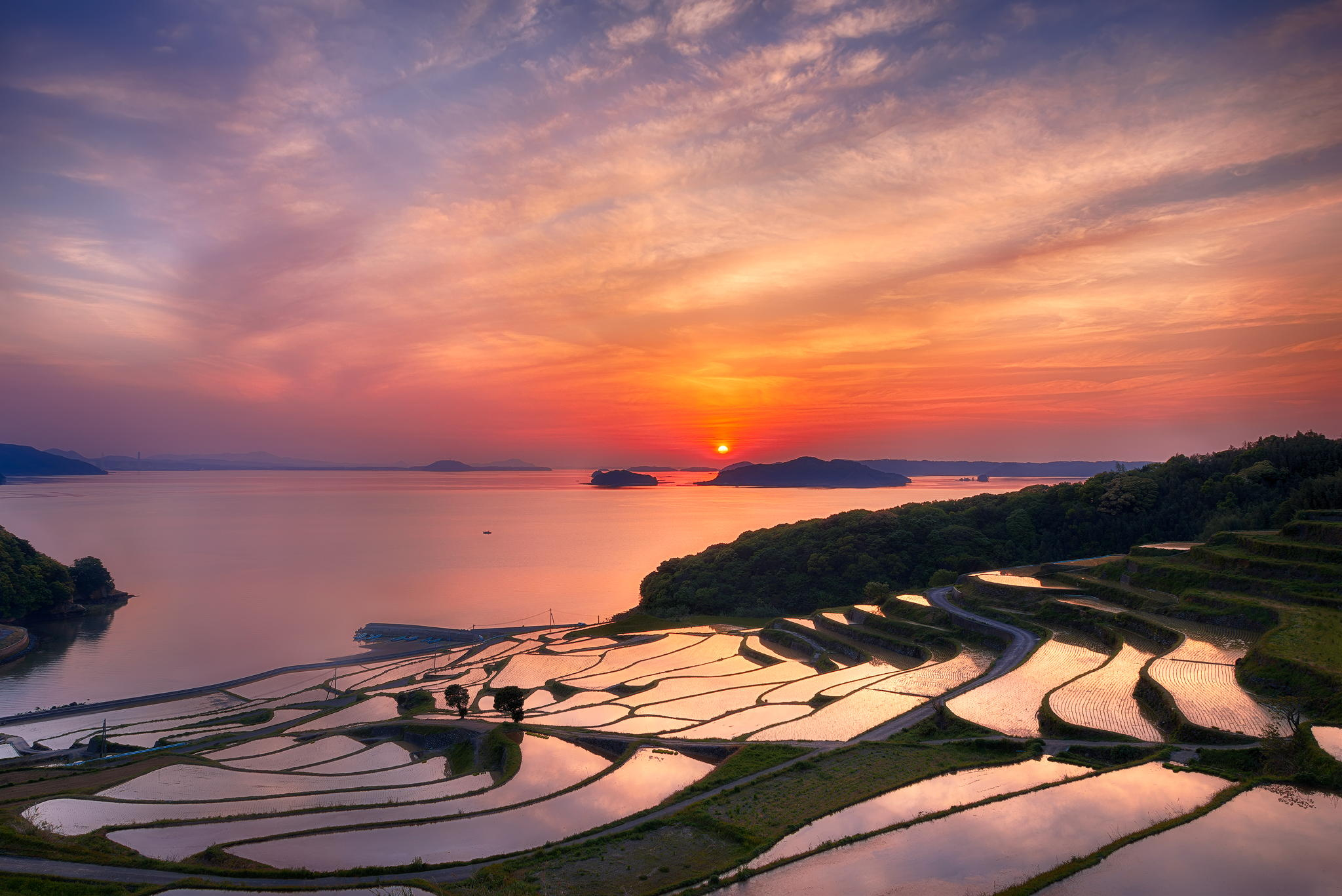 Kyushu Japan Wallpaper - Rice Terrace Sunset - HD Wallpaper 