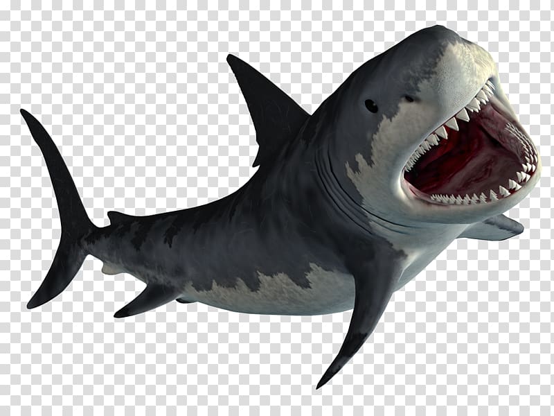 D Shark Illustration, Hungry Shark World Hungry Shark - Infinity Symbol Transparent Background - HD Wallpaper 