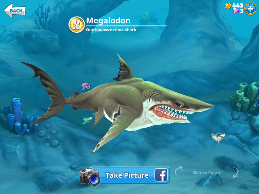 Hungry Shark World - Hungry Shark World Spike - 900x675 Wallpaper ...