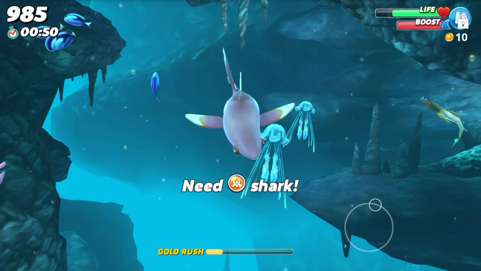 Watch Out For Jellyfish - Shark Eat Jellyfish - HD Wallpaper 