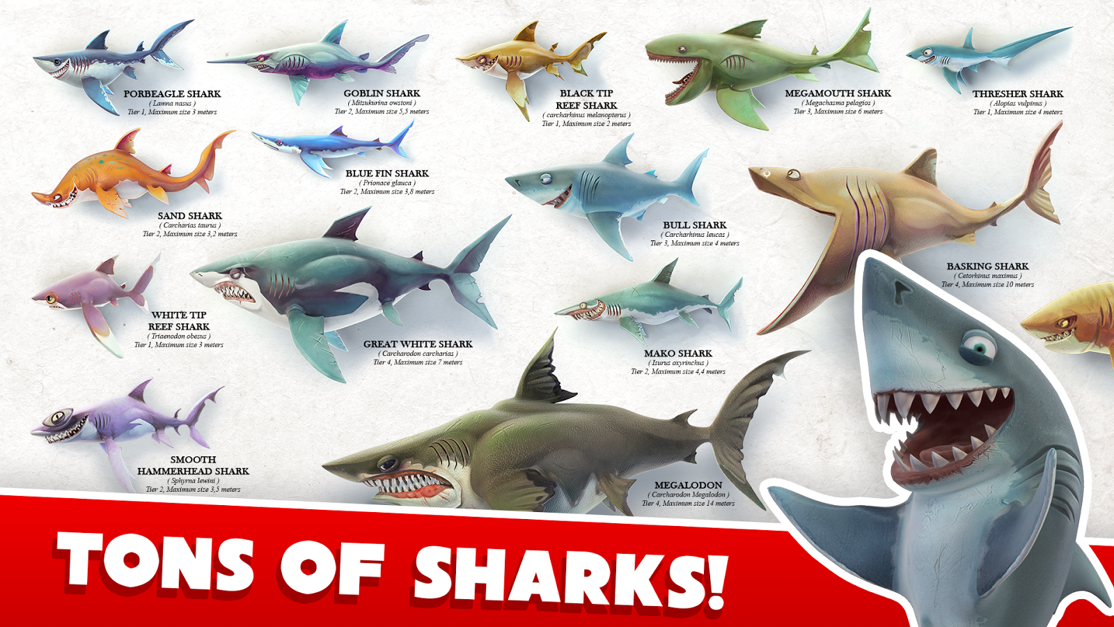 All Sharks Of Hungry Shark World - HD Wallpaper 