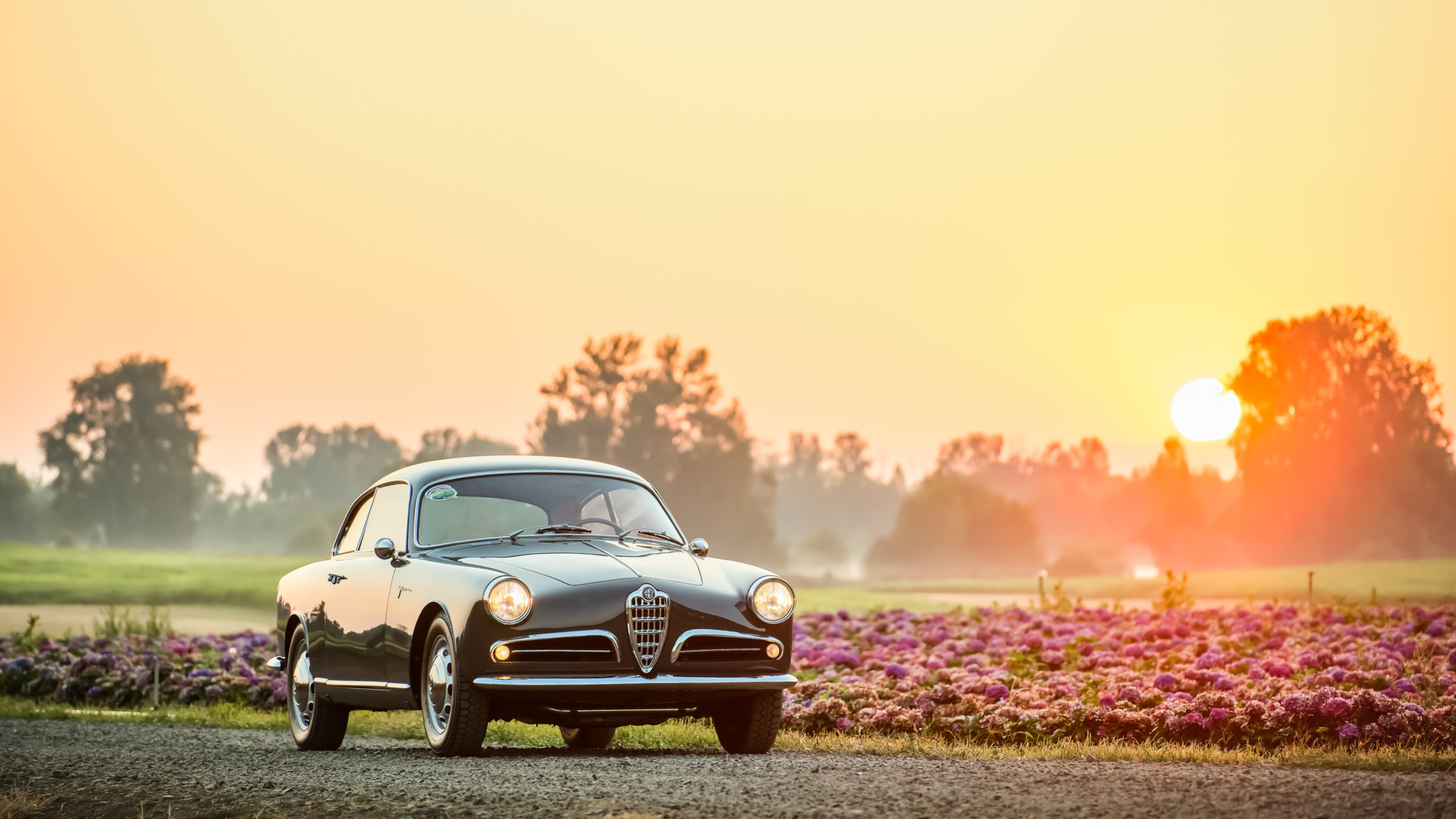Alfa Romeo - HD Wallpaper 