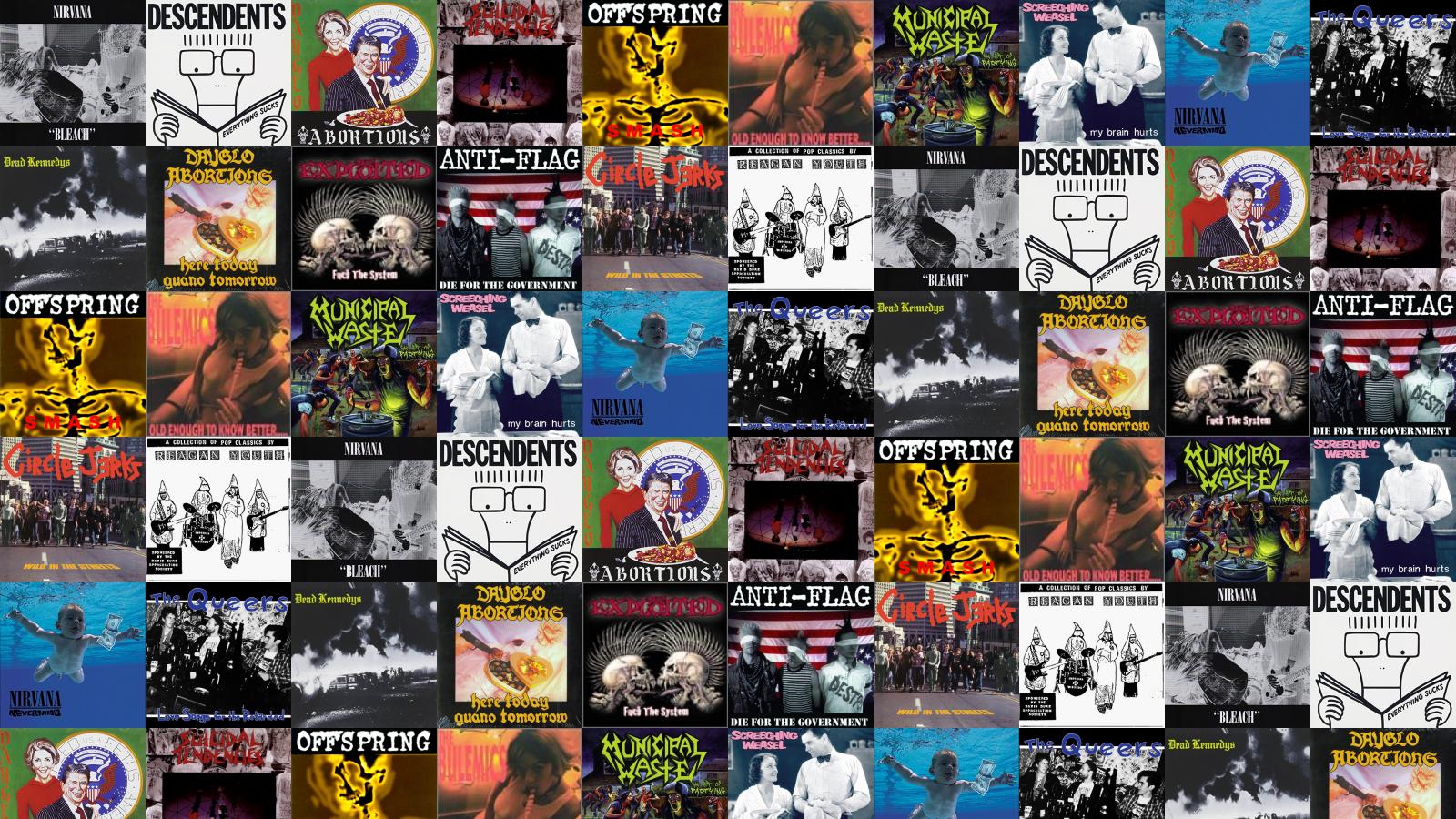 Screeching Weasel - HD Wallpaper 