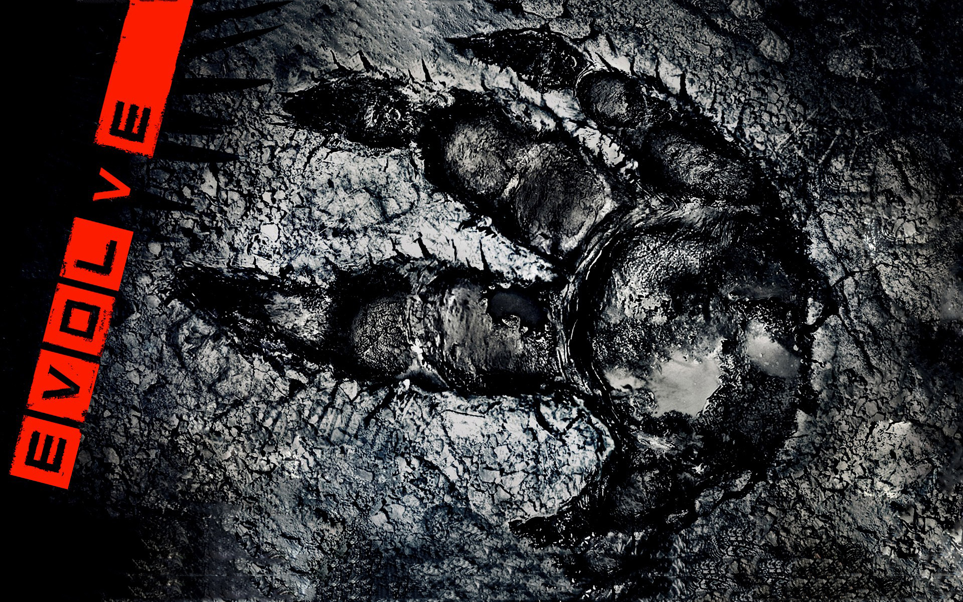Evolve - HD Wallpaper 