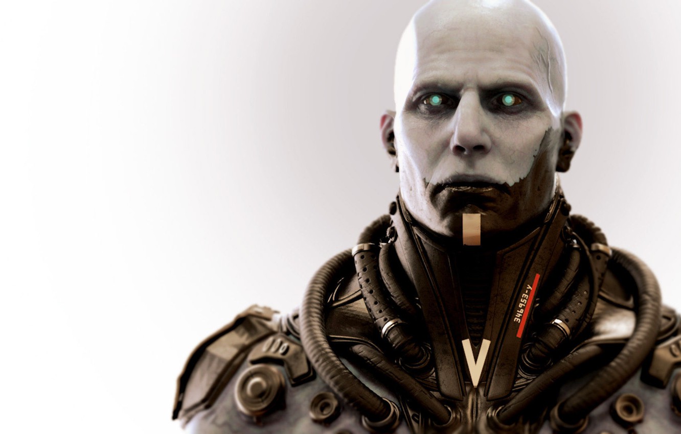 Photo Wallpaper Look, Bald, Vienna, Male, Fighter, - Epic Cyborg - HD Wallpaper 