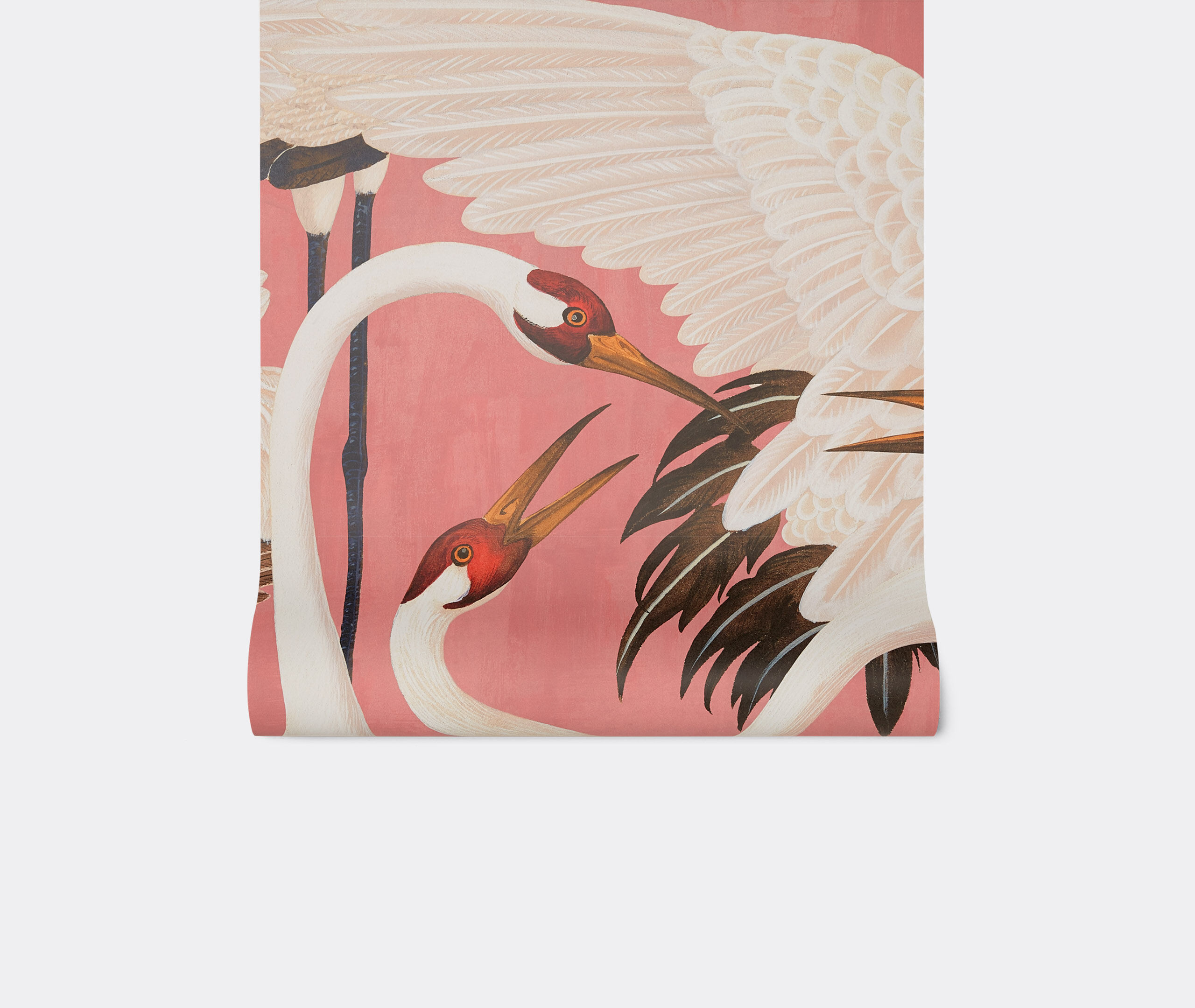 Gucci Heron Wallpaper - Gucci Wallpaper Pink - HD Wallpaper 