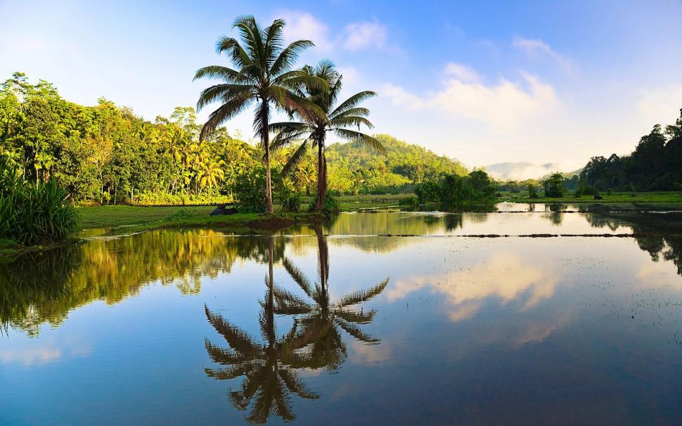 Sri Lanka Beautiful Nature, Trees, Palms, Water Reflection - Nature Beautiful Sri Lanka - HD Wallpaper 