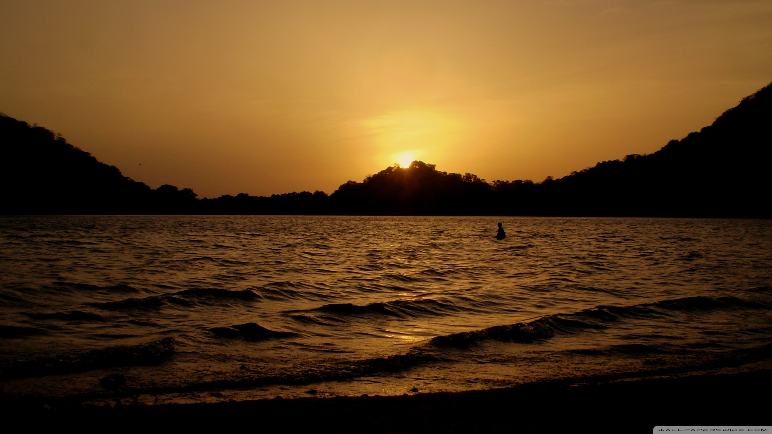 Wallpaper - HD Wallpaper 