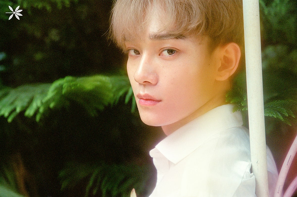 Exo Ko Ko Bop Photoshoot Chen - HD Wallpaper 