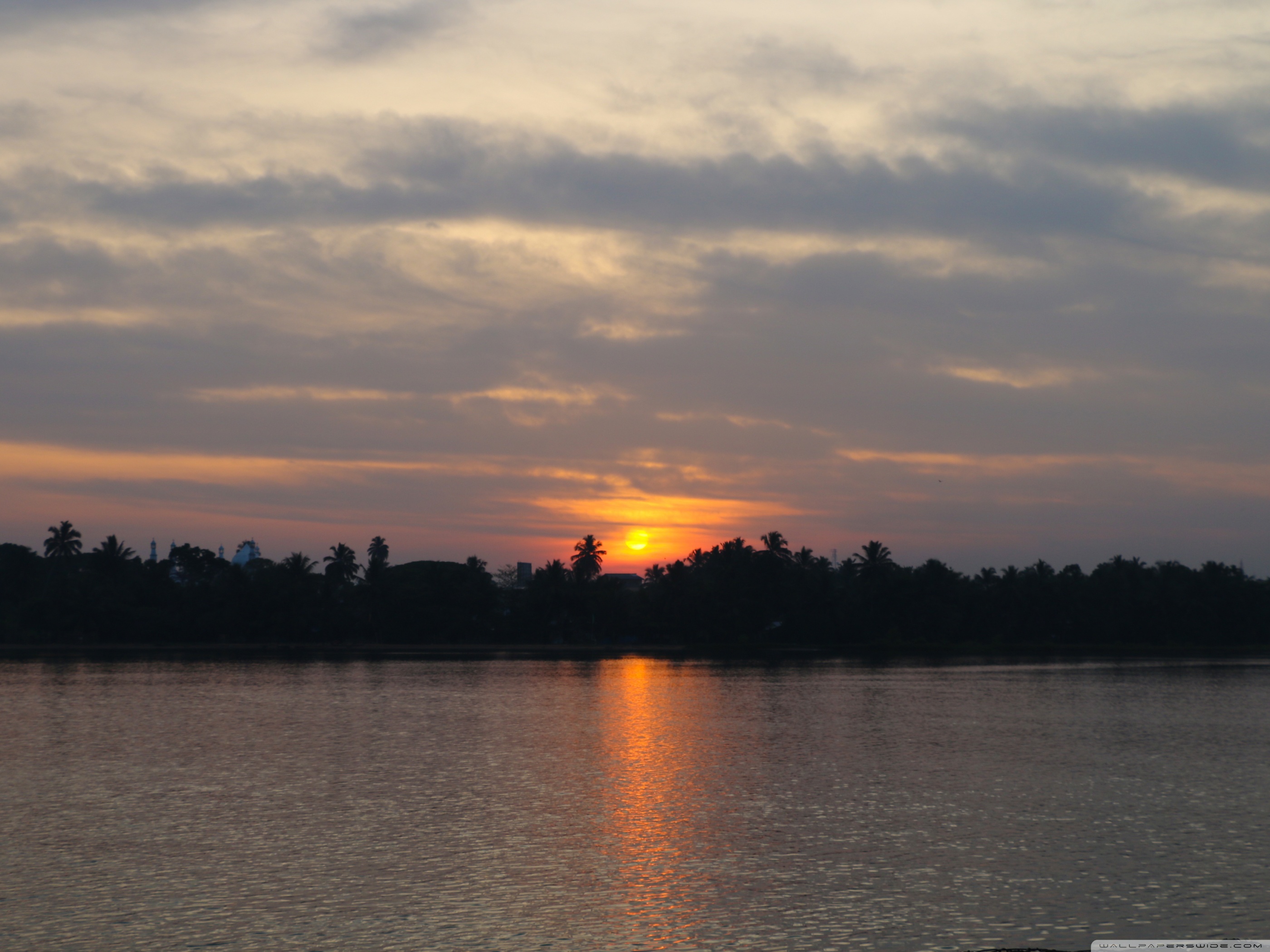 Mobile Phone - HD Wallpaper 