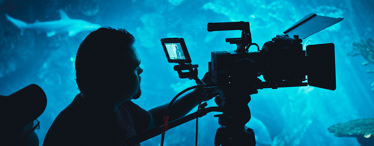 Red Dragon Cinematographer - HD Wallpaper 