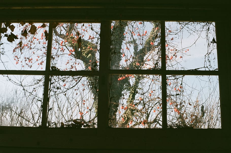 Film, Window, No People, Glass - Daylighting - HD Wallpaper 