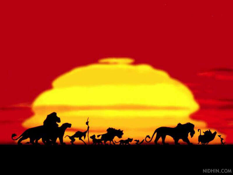 Circle Of Life Background - HD Wallpaper 