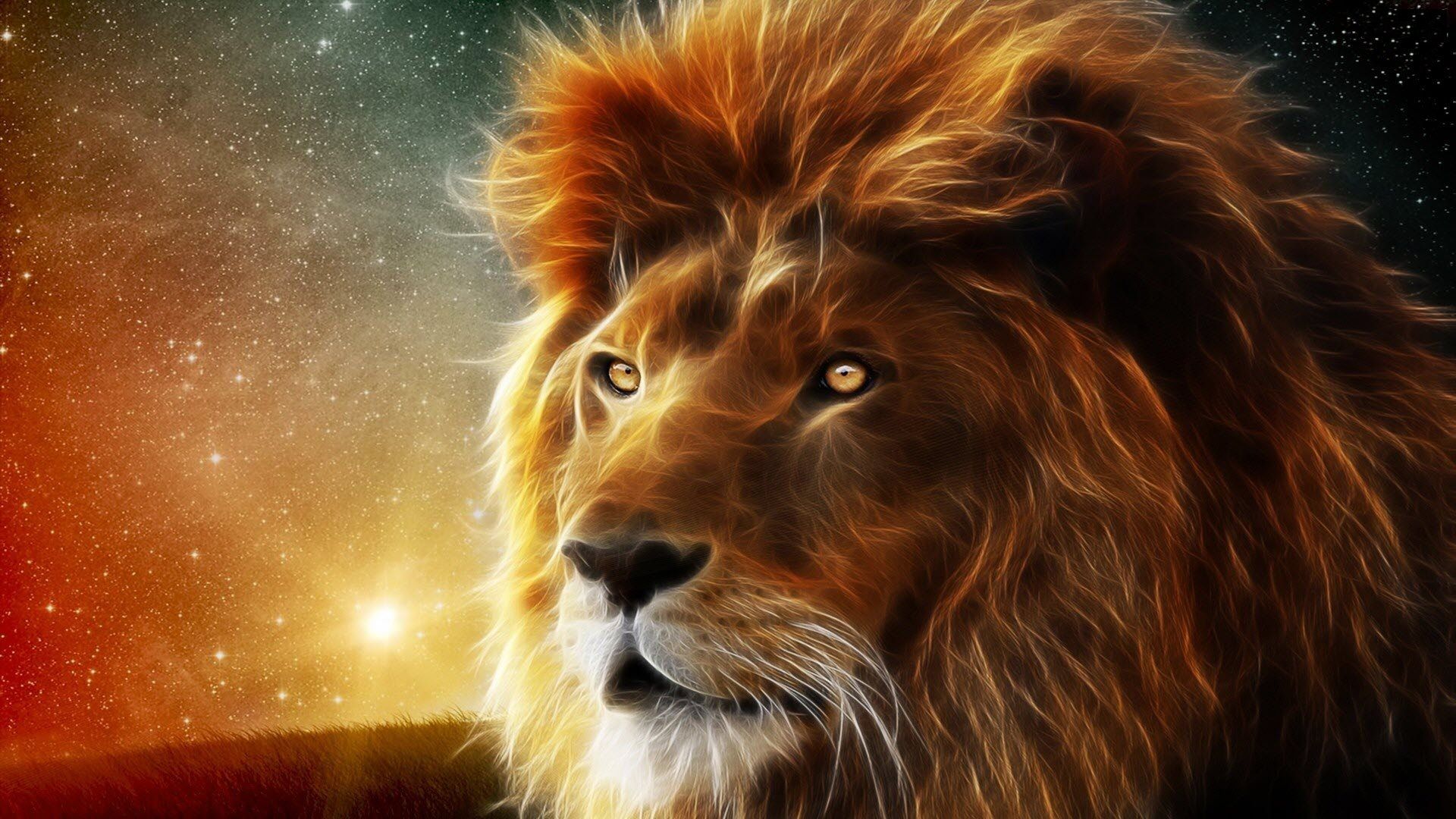 Lion Beautiful - HD Wallpaper 