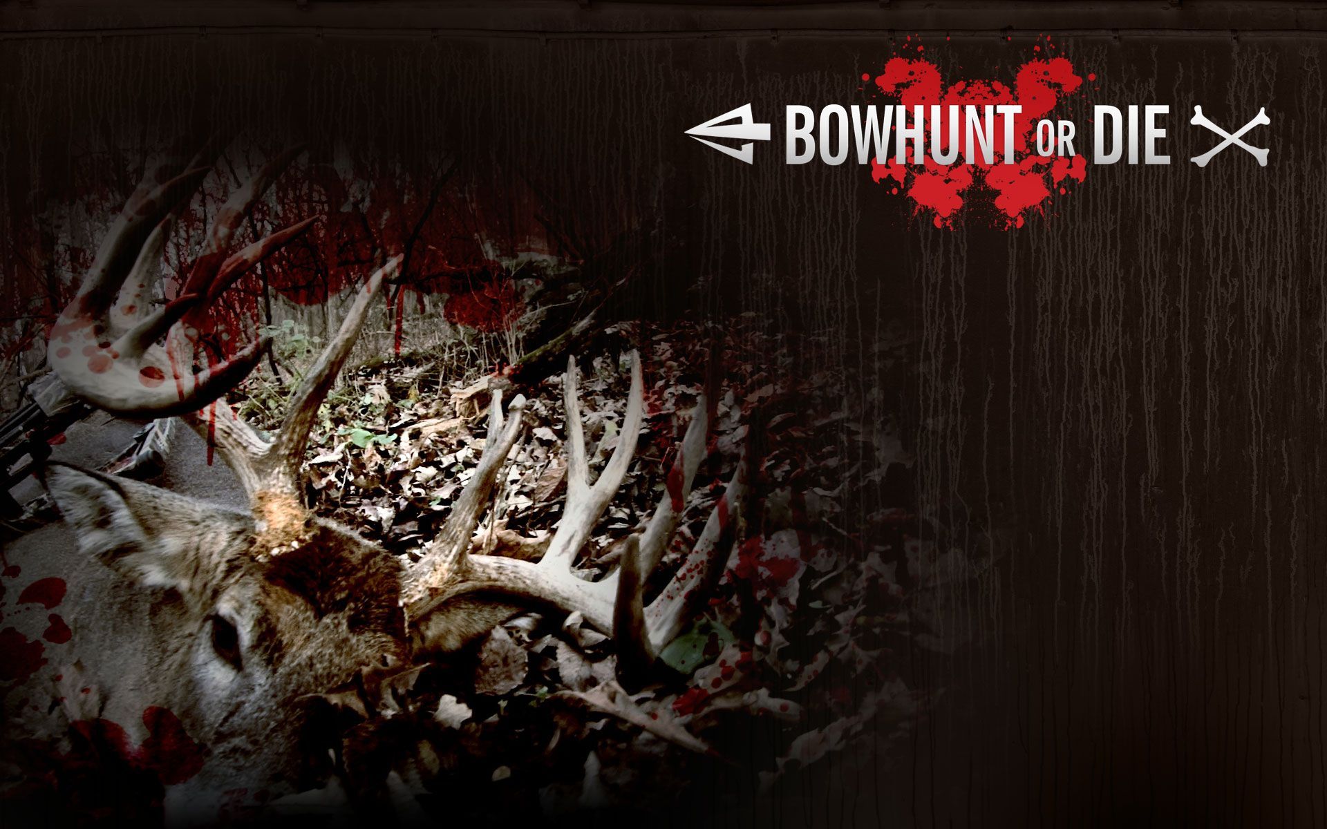 Mathews Archery Wallpaper - Bowhunting Background - HD Wallpaper 