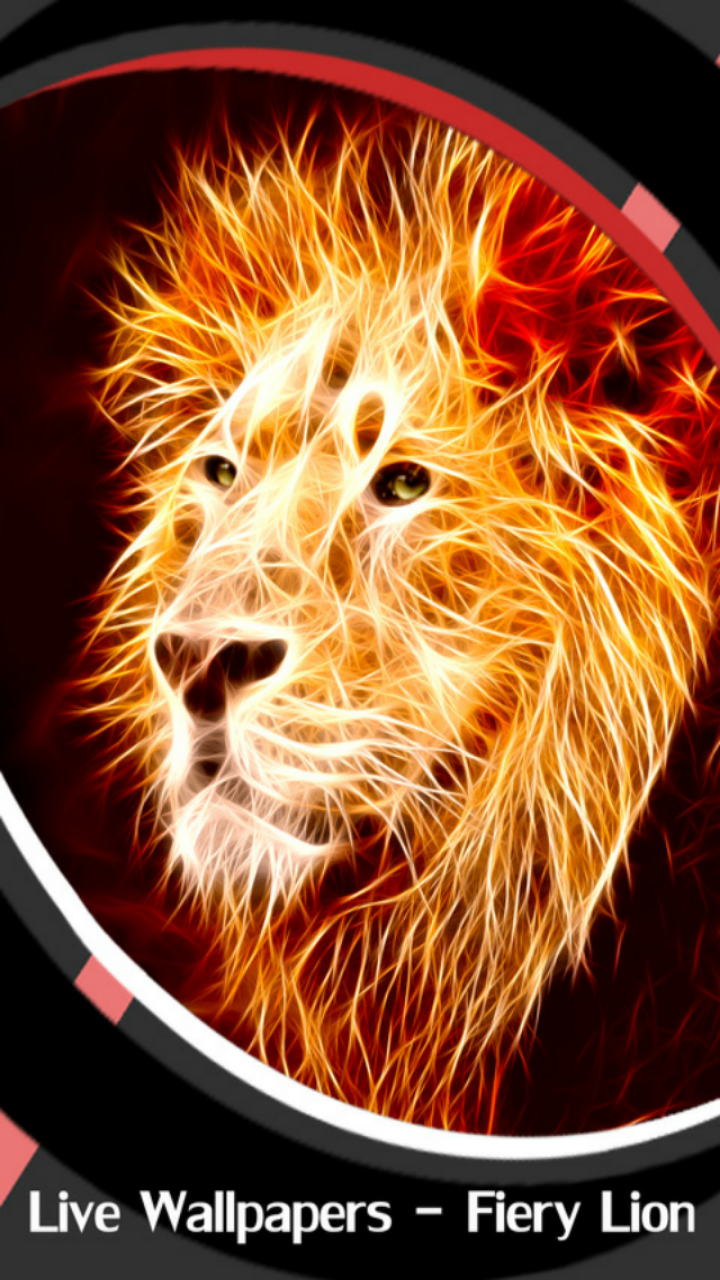 Lion Hd Live Wallpaper 720x1280 Wallpaper teahub.io