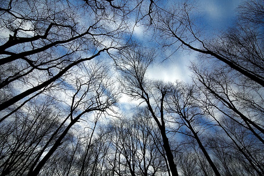 United States, King Of Prussia, Valley Forge National - Sunlight - HD Wallpaper 