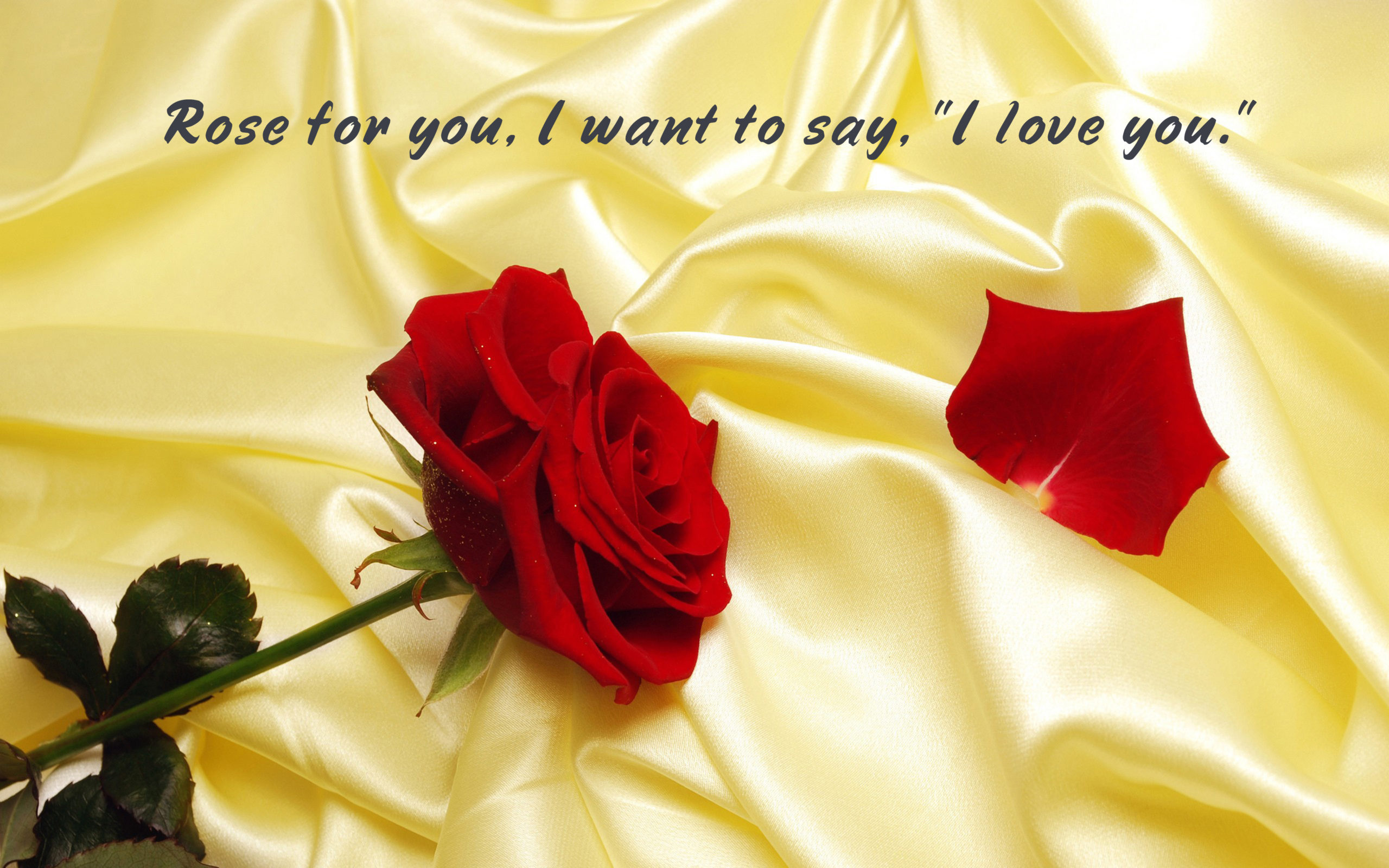 Roses With Love Message - HD Wallpaper 