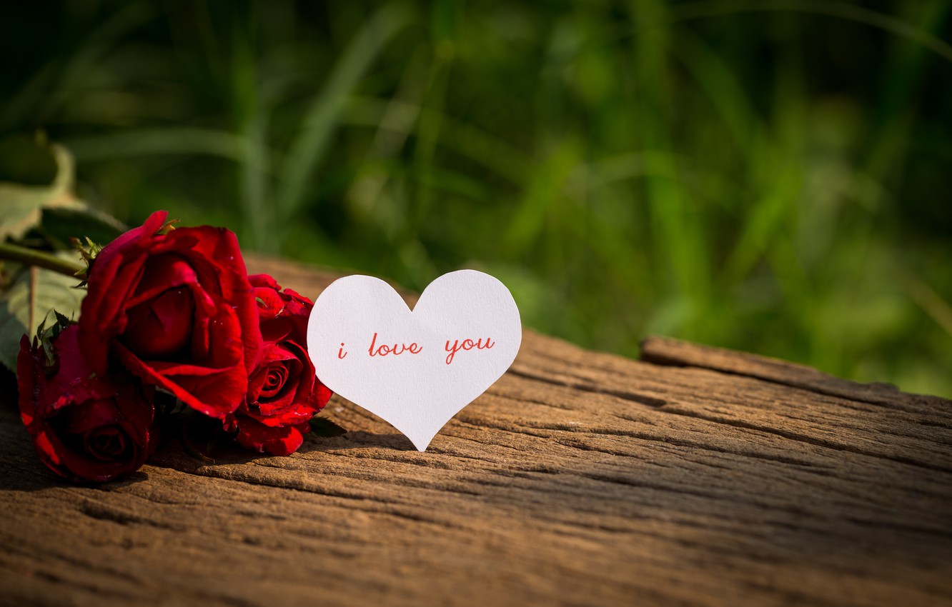 Photo Wallpaper Love, Flowers, Heart, Roses, Red, Love, - Hd I Love You Heart  Rose - 1332x850 Wallpaper 