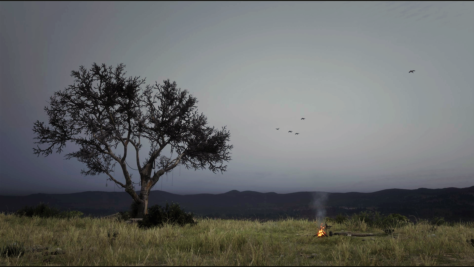 Savanna - HD Wallpaper 