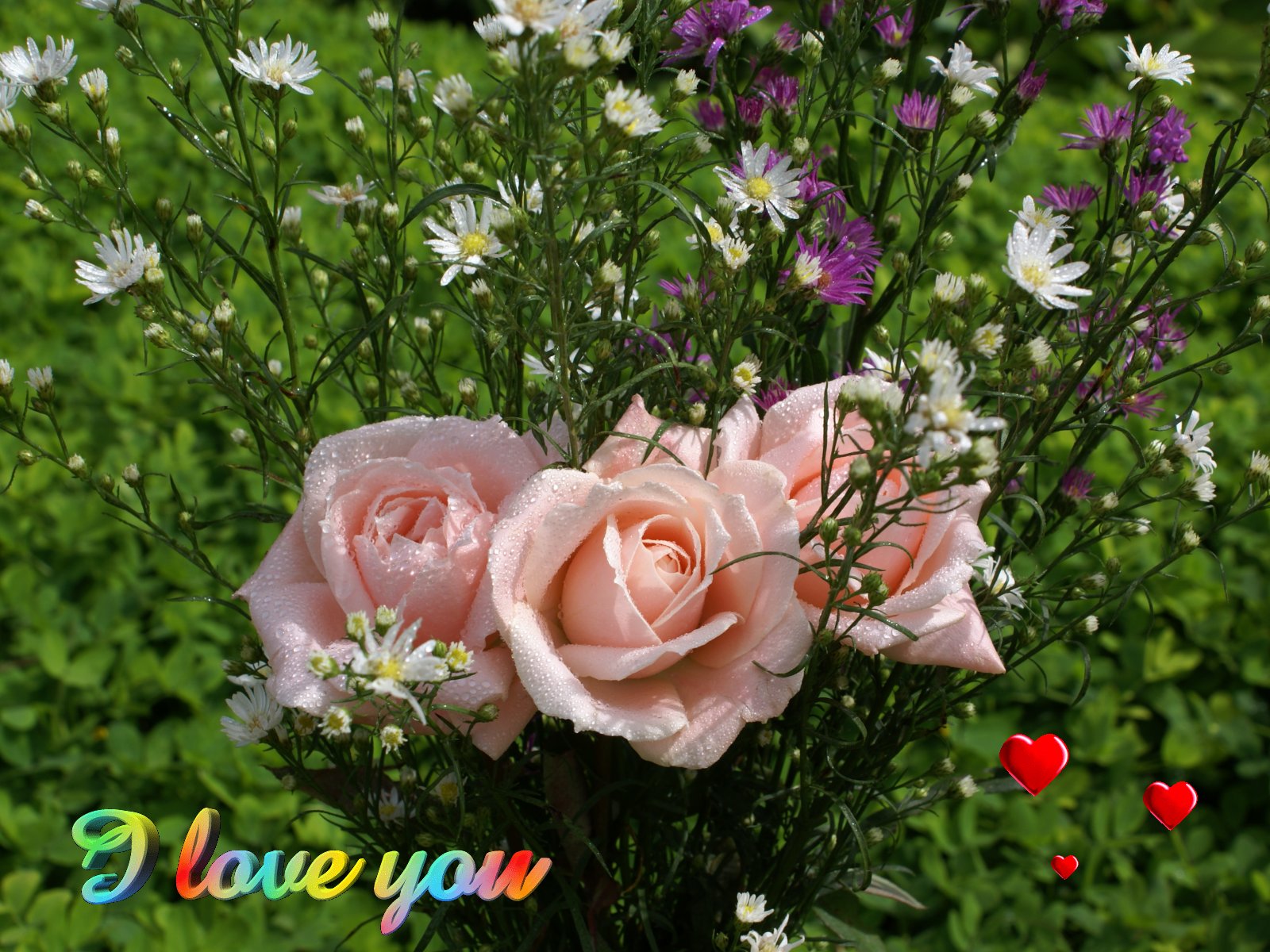 Love Wallpaper Roses And Hearts - Love You Green Rose - HD Wallpaper 