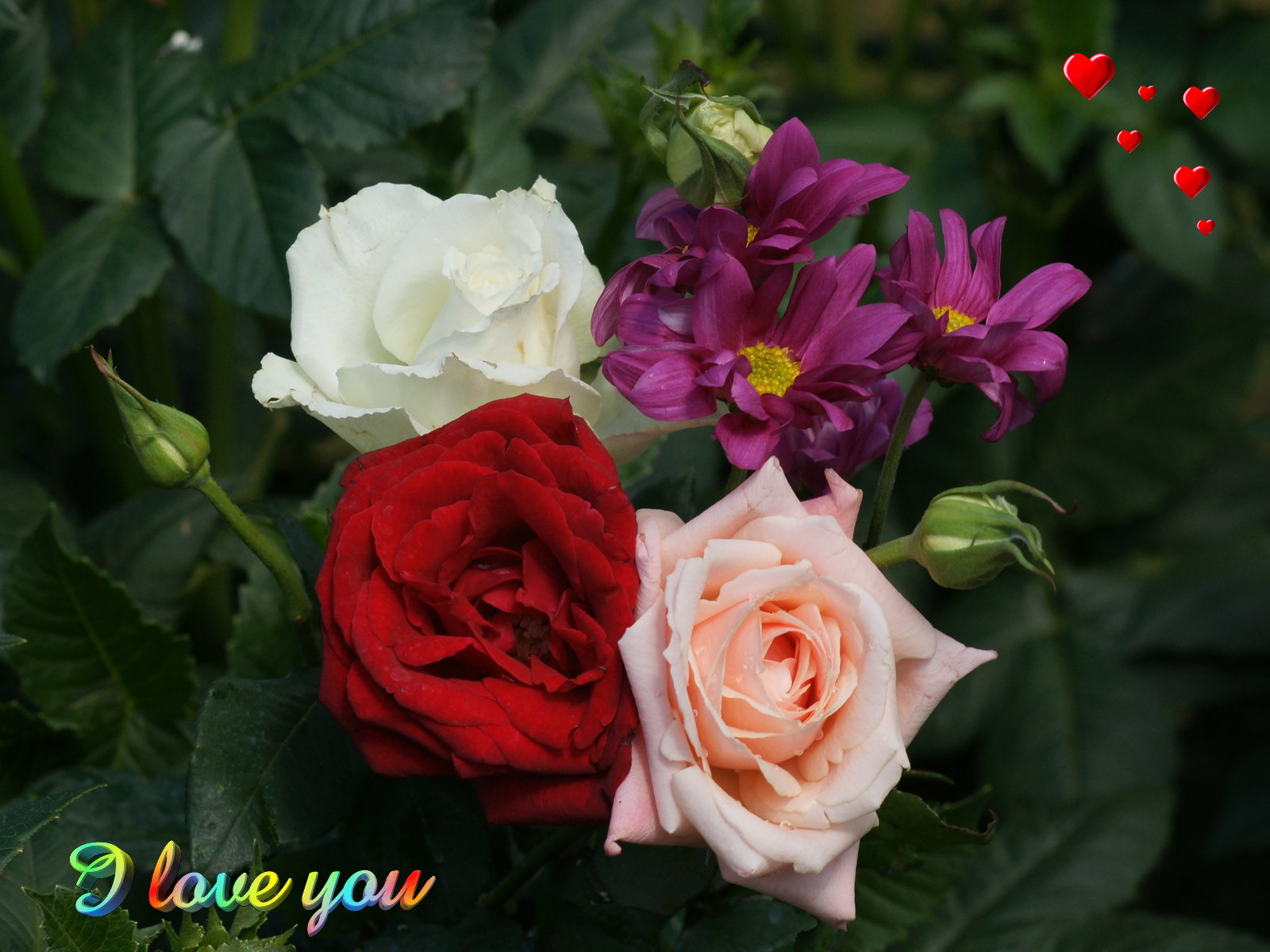 Love Flowers - HD Wallpaper 