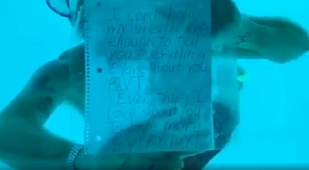Man Dies Proposing Underwater - HD Wallpaper 