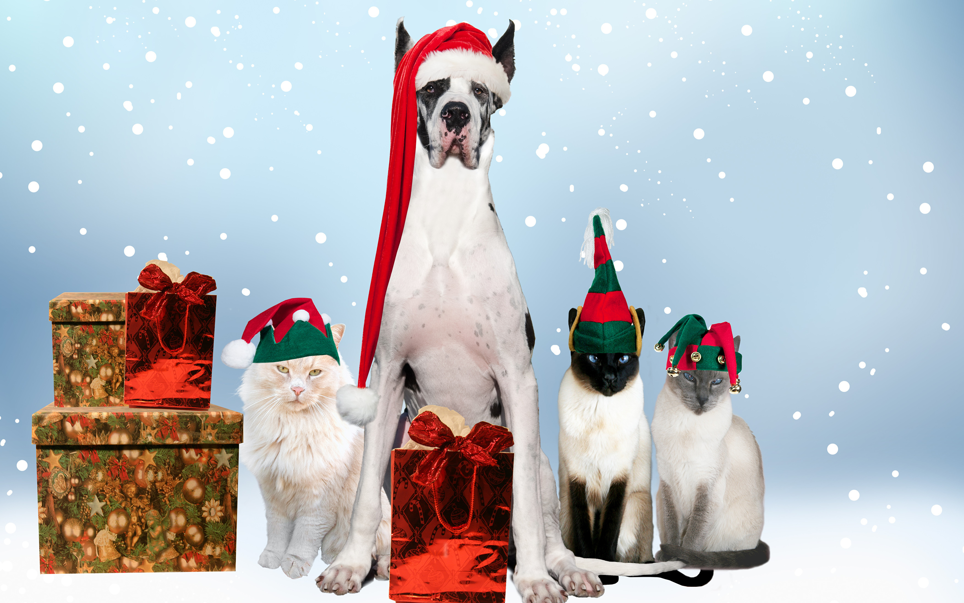 Happy Holidays With Animals - HD Wallpaper 