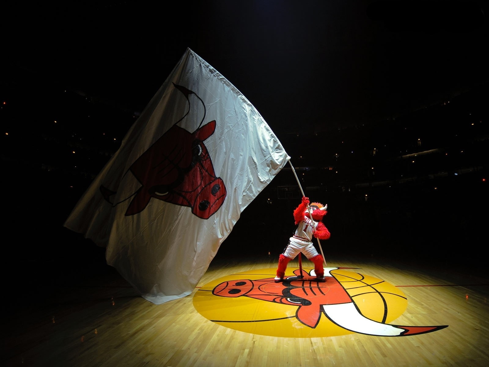 Chicago Bulls Mascot Benny The Bull - HD Wallpaper 