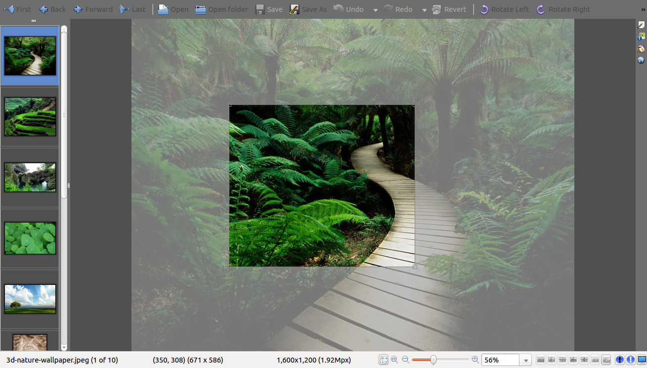 Showfotocanvas - Nature - HD Wallpaper 