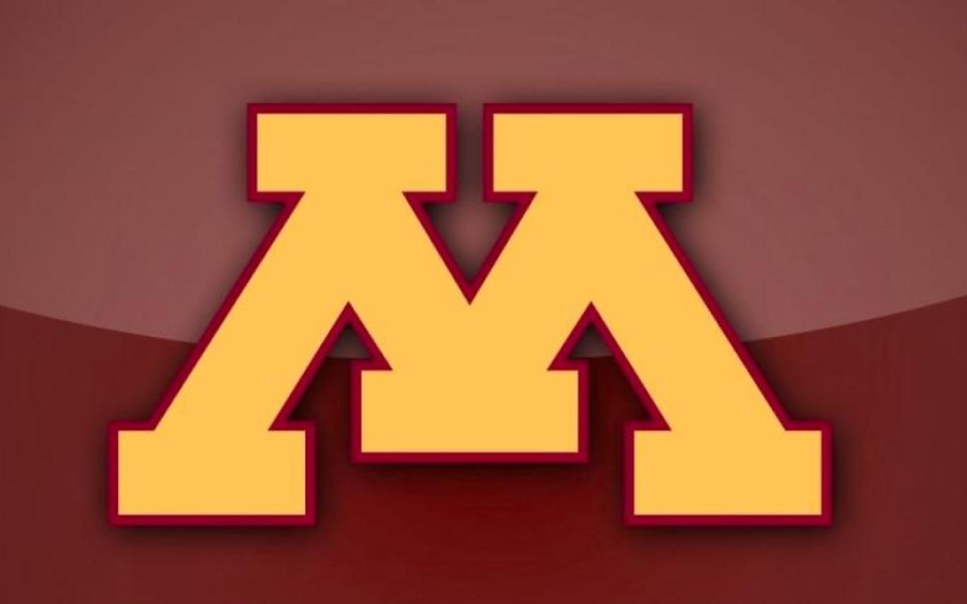 Minnesota Gophers Helmet Flags - HD Wallpaper 
