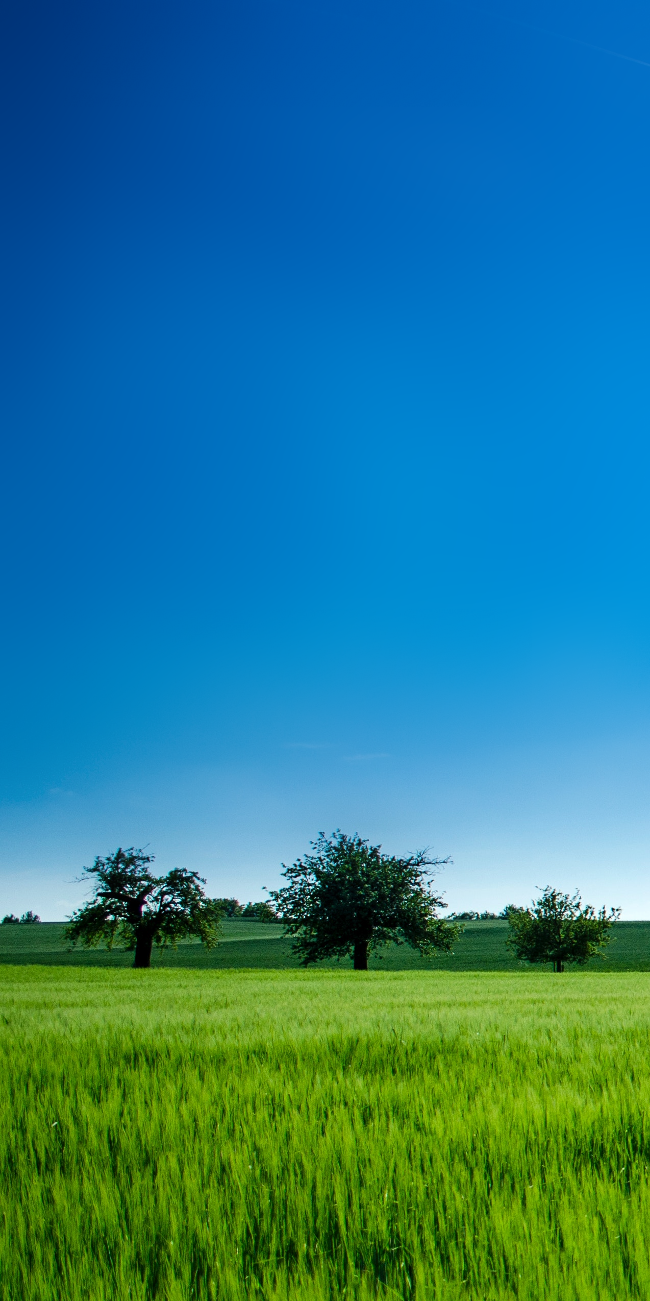 Psalm 111 7 - HD Wallpaper 