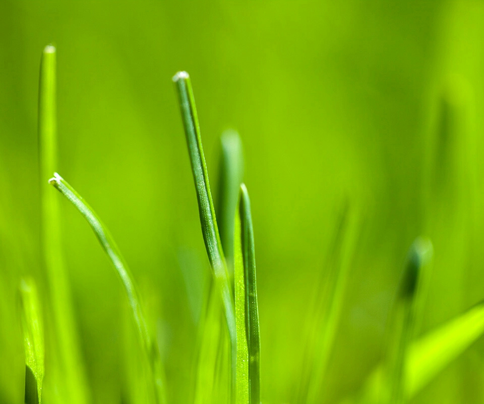 Galaxy Stock Wallpapers Green - HD Wallpaper 