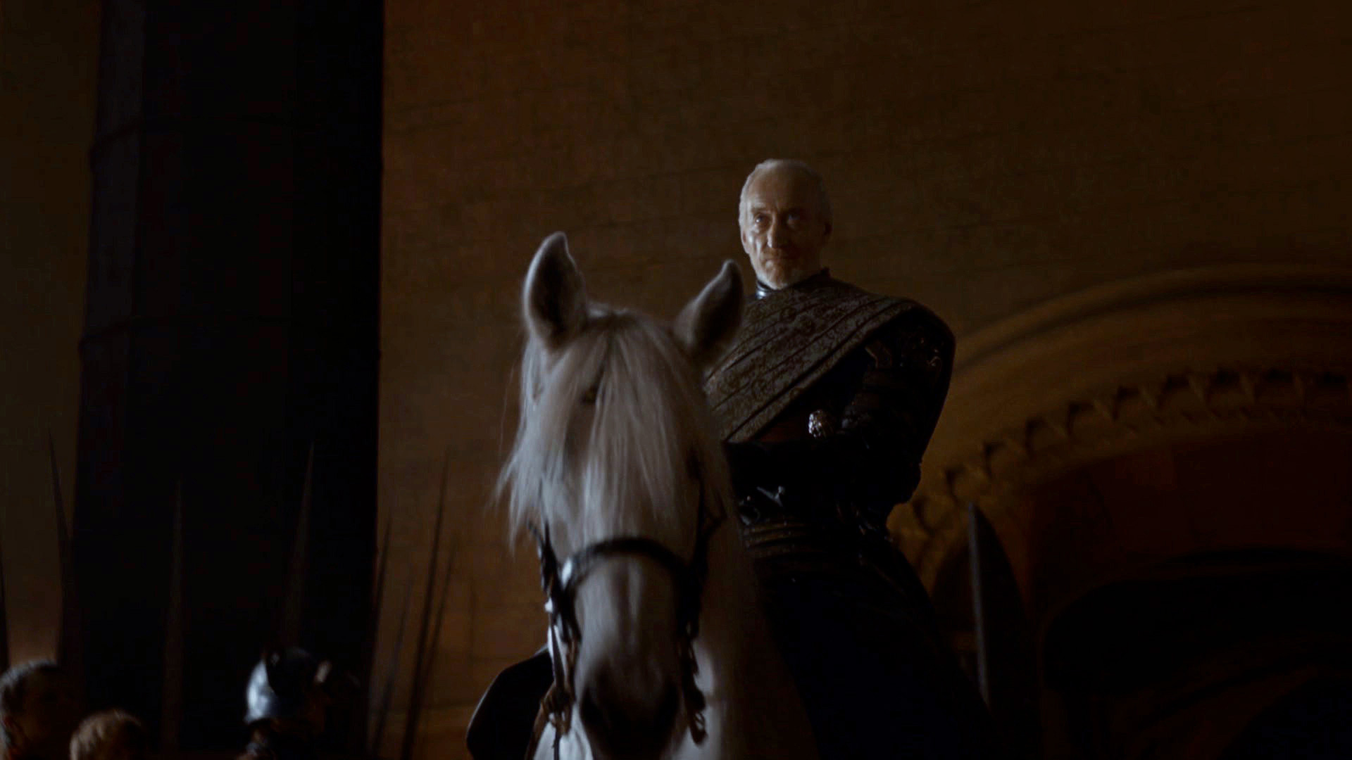 Stallion - HD Wallpaper 