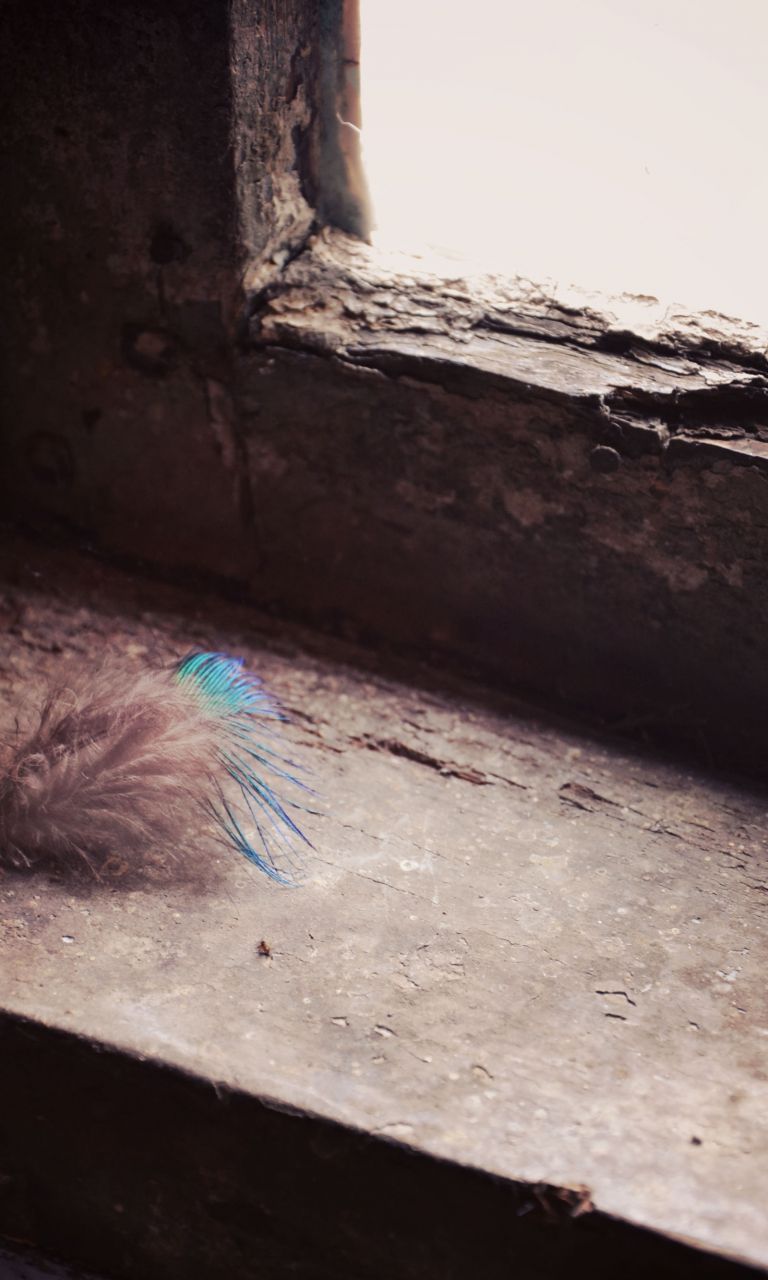 Black Brown Feathers Old Rustic White - HD Wallpaper 