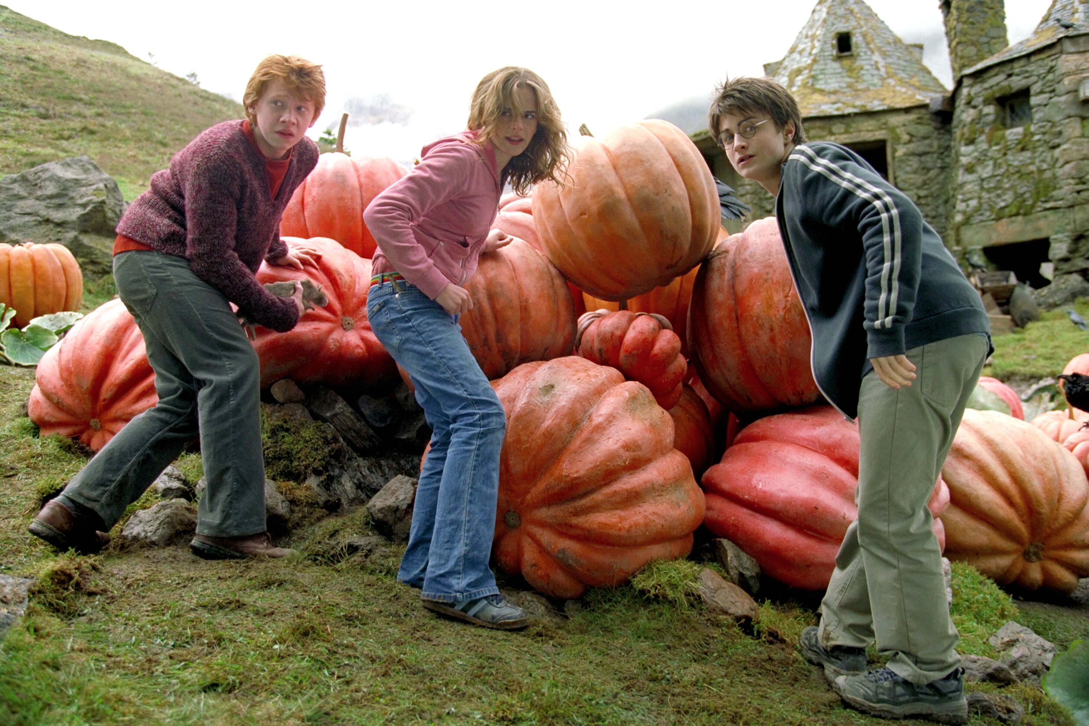 Harry Potter And The Prisoner Of Azkaban Pumpkins - HD Wallpaper 