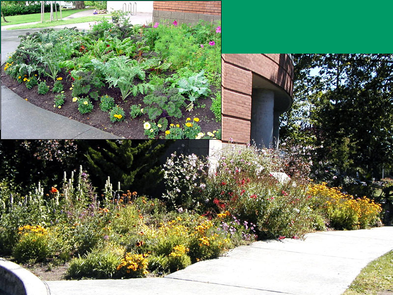 Parks And Rec Wallpaper - HD Wallpaper 