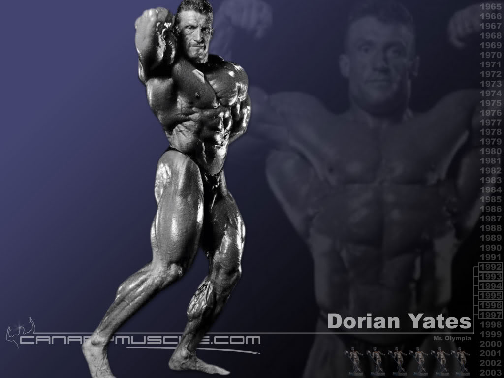 Ronnie Coleman Hd Wallpaper - Dorian Yates Best Shape - HD Wallpaper 