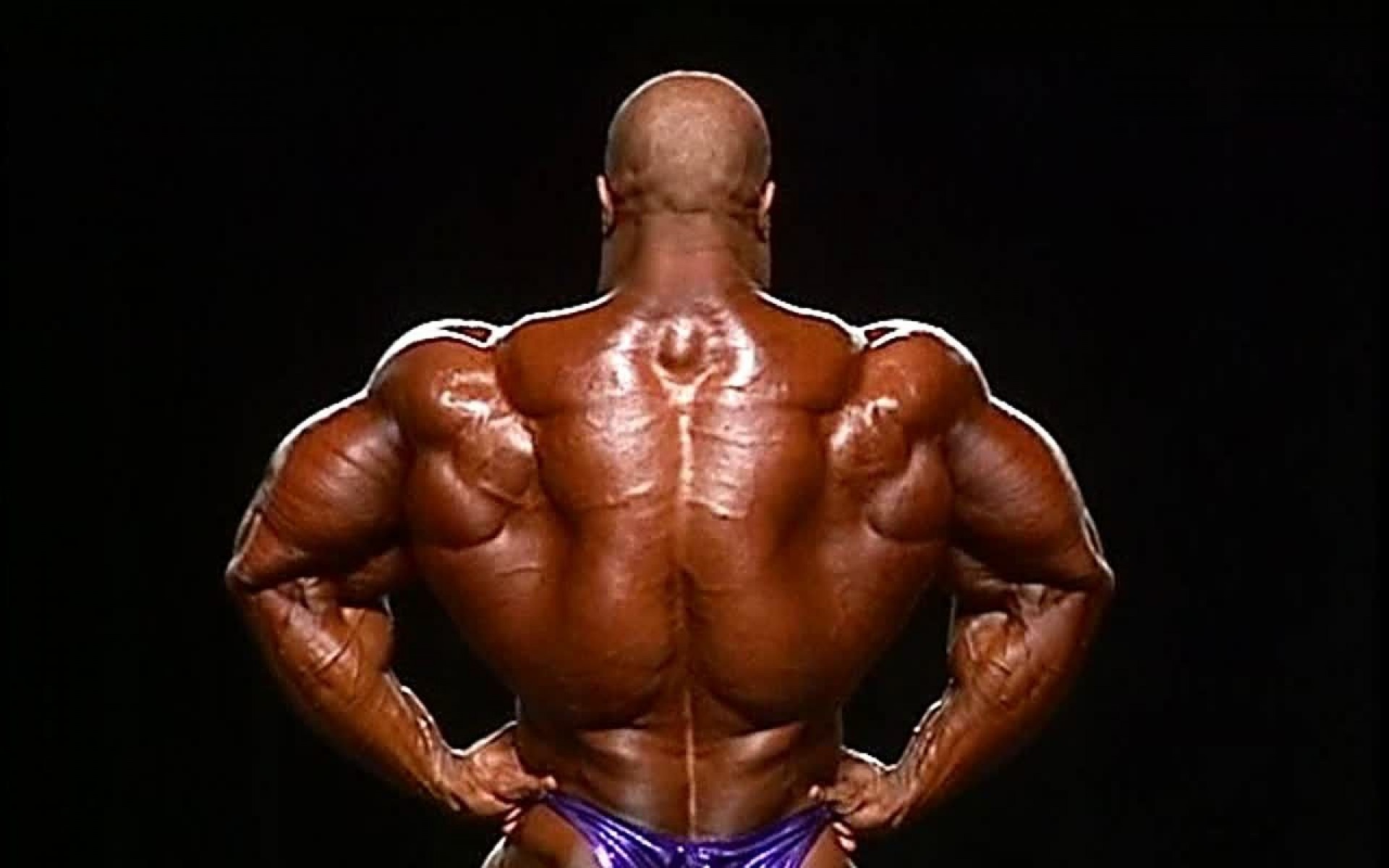 Image Bodybuilding Best Pic Bodybuilding Widescreen - Phil Heath - HD Wallpaper 