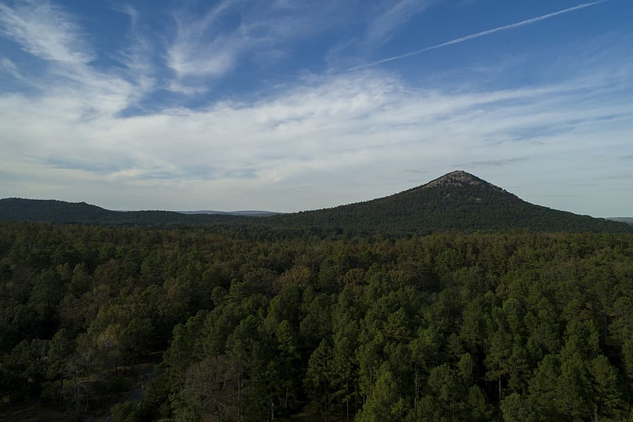 United States, Pinnacle Mountain State Park, Trees, - Hill - HD Wallpaper 