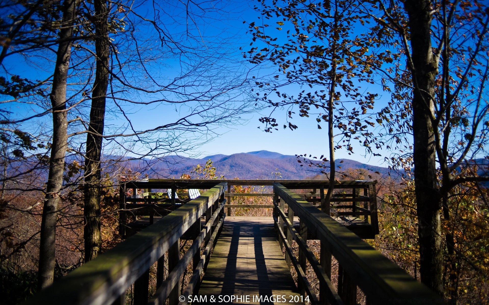 Autumn Wood Tree Landscape Outdoors Nature Park Guidance - Black Rock Mountain State Park View - HD Wallpaper 