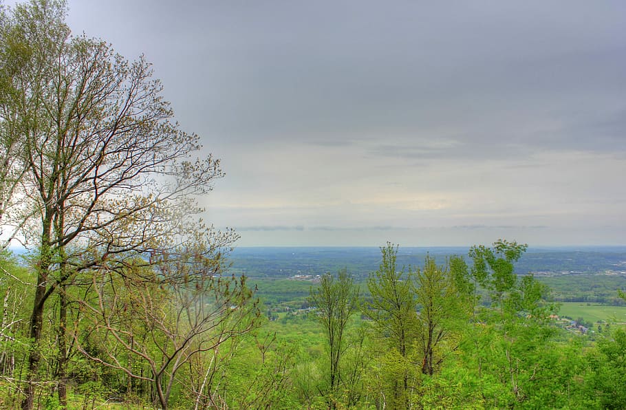 Forest From The Top At Rib Mountain State Park, Wisconsin, - Hill - HD Wallpaper 