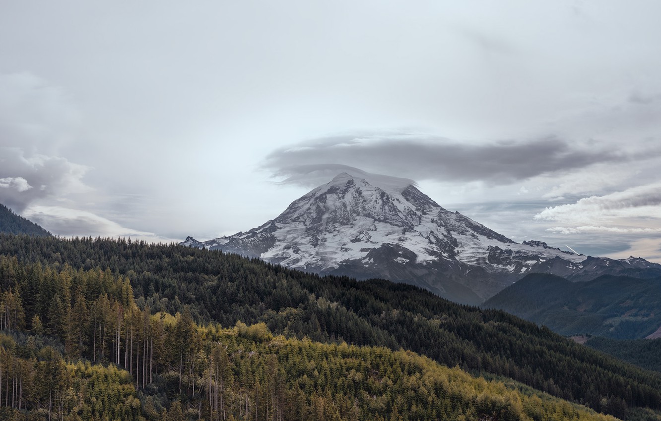 Photo Wallpaper Forest, The Sky, Mountains, Clouds, - Summit - HD Wallpaper 